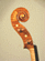 violino Guarneri del Jesus